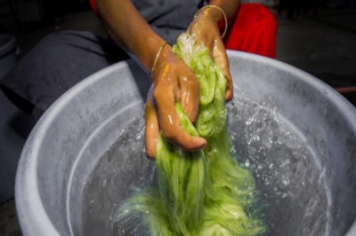 Enough agri waste in Asia to produce natural fibres at scale: study