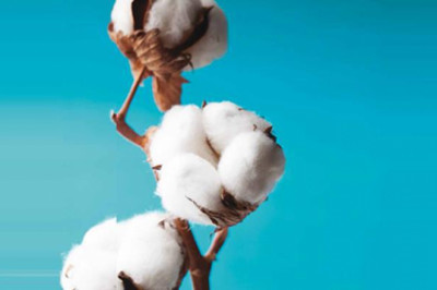 White gold, green future