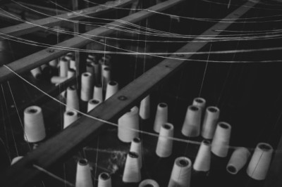 Organic Cotton Accelerator(OCA) to Prevent GMO Contamination in Organic Cotton