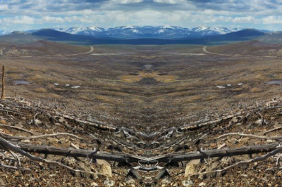 Fashionable fabrics leading to deforestation