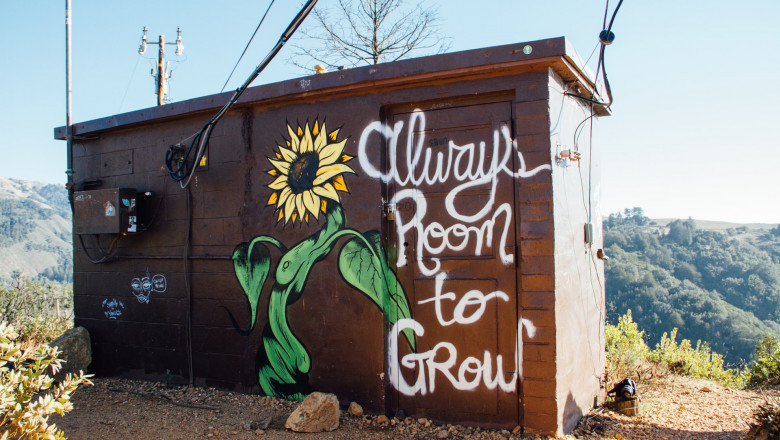 Innovations in sustainable fashion - new ways to grow green