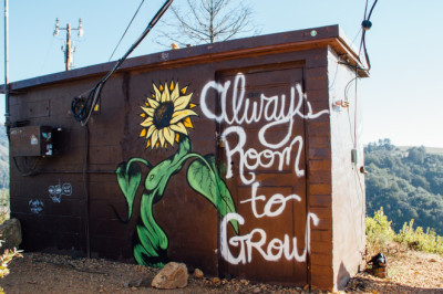 Innovations in sustainable fashion - new ways to grow green