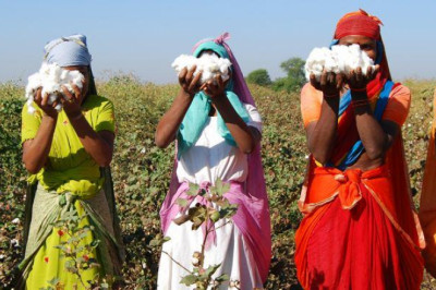 Sustainability brand rankings: Losing track